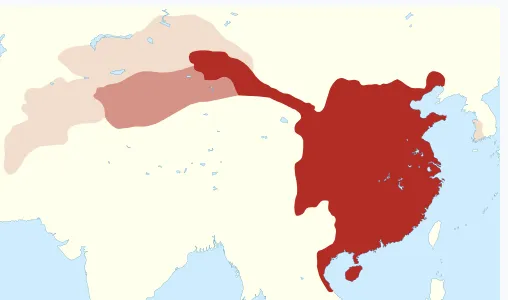 Tang Dynasty culture